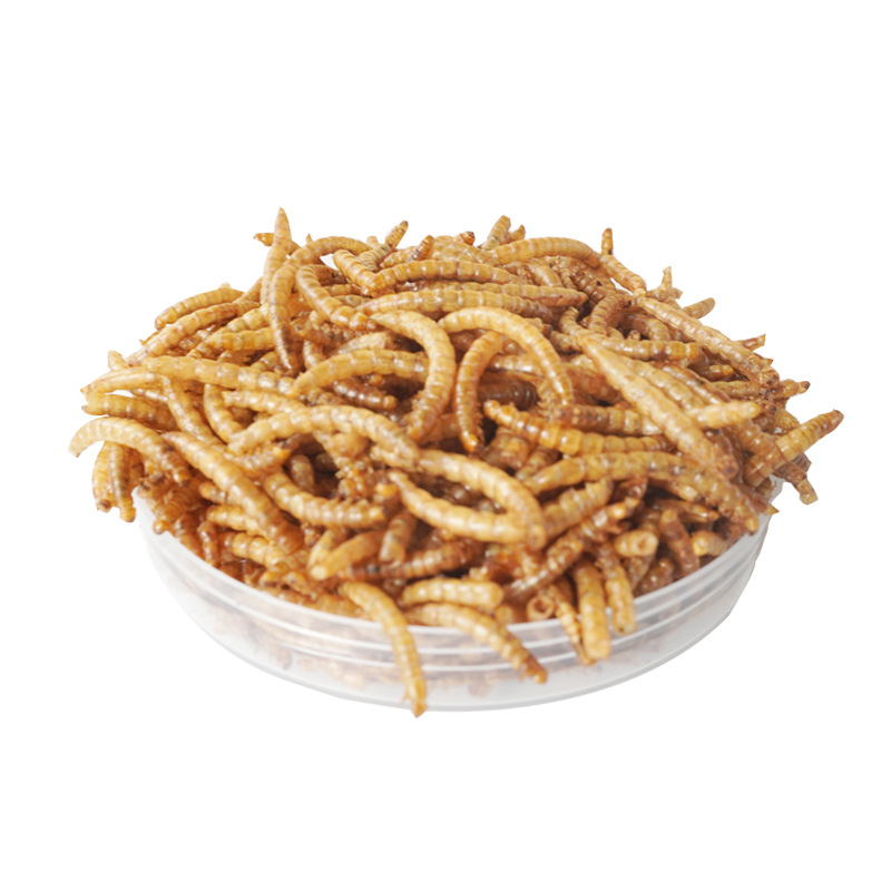 Camilan Protein Tinggi Makanan - Food And Snacks High In Protein ulasan dan harga